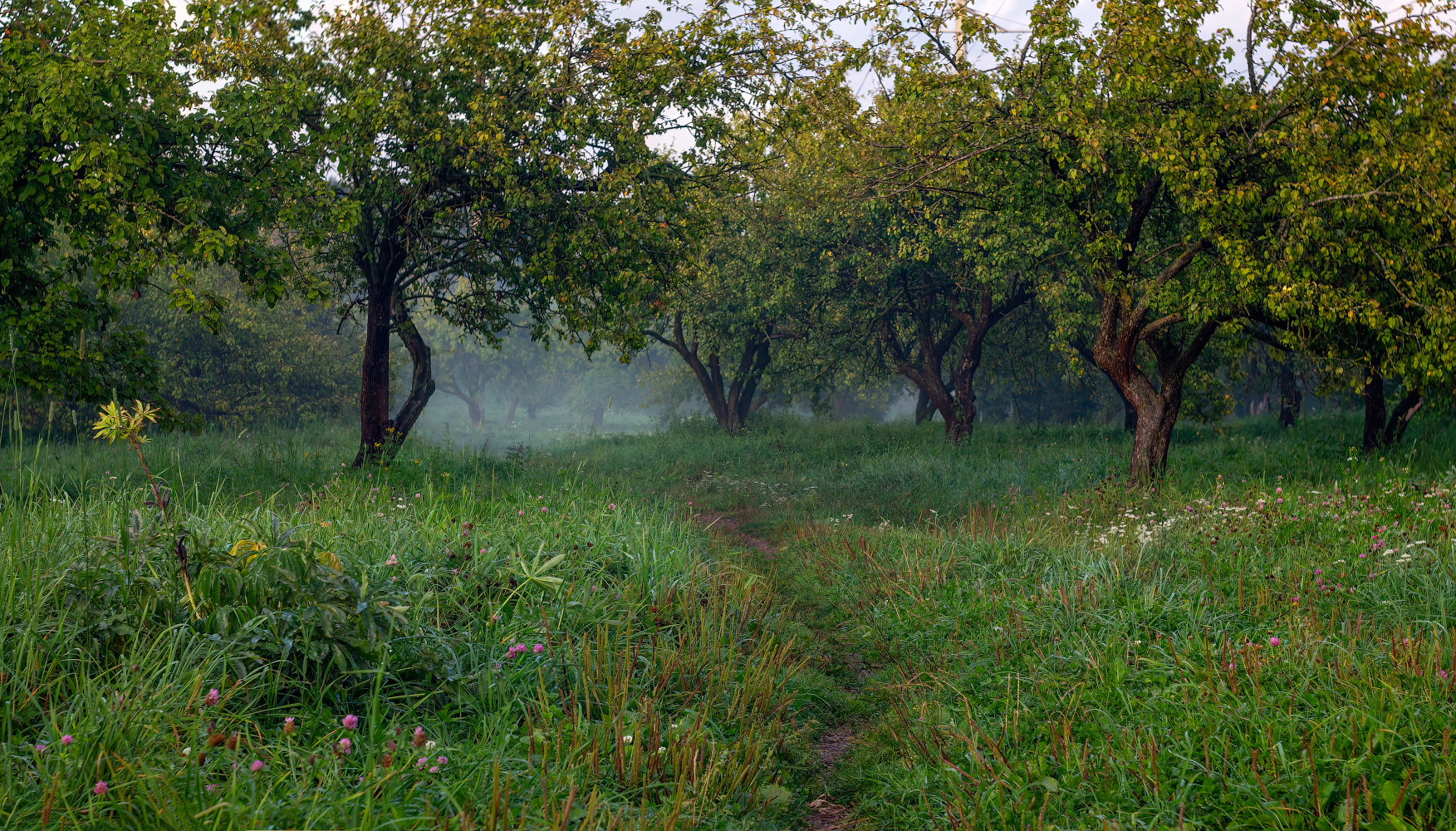 Вечерело в саду
