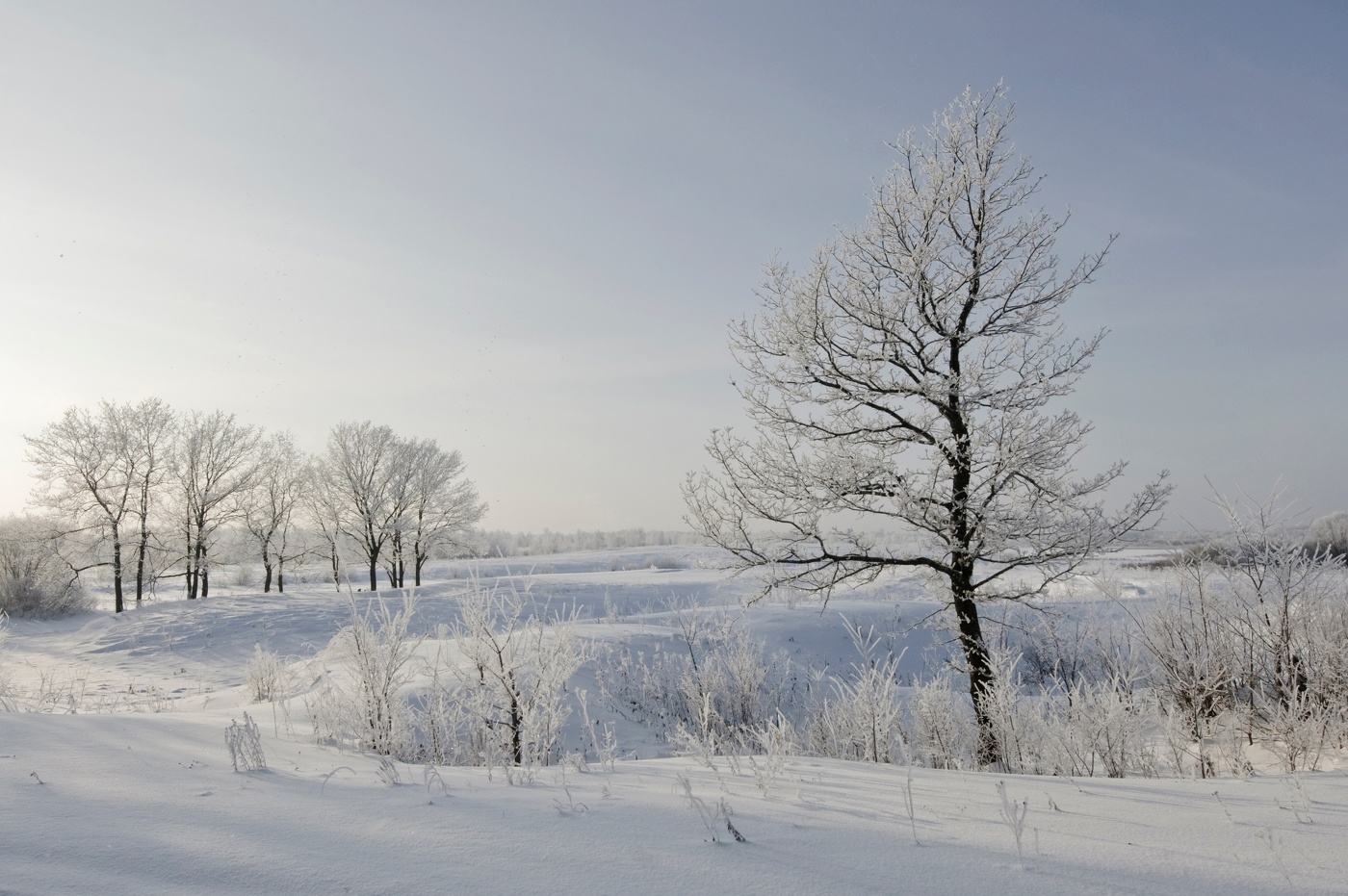 окрестности Лунского...