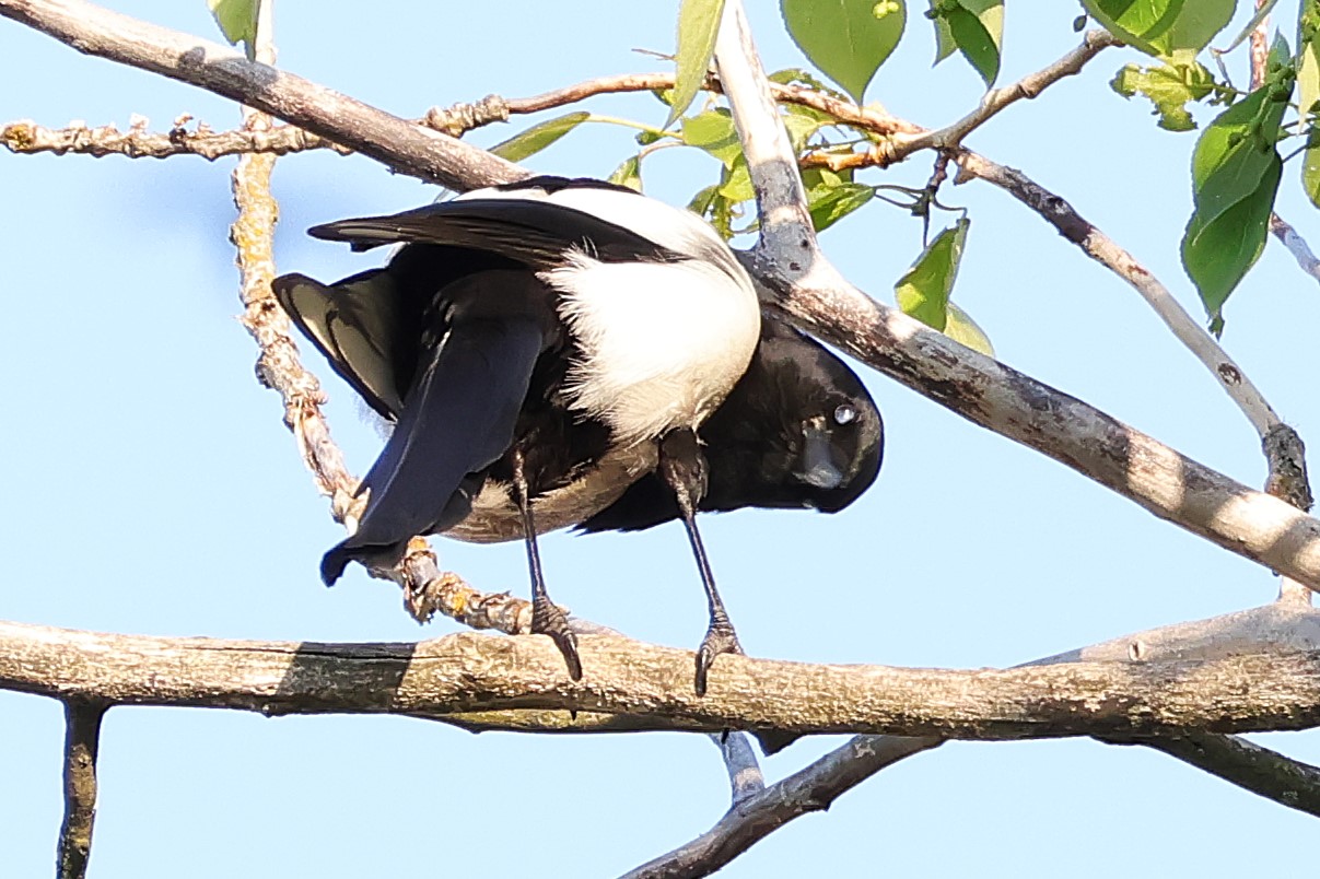 Оглянусь ка