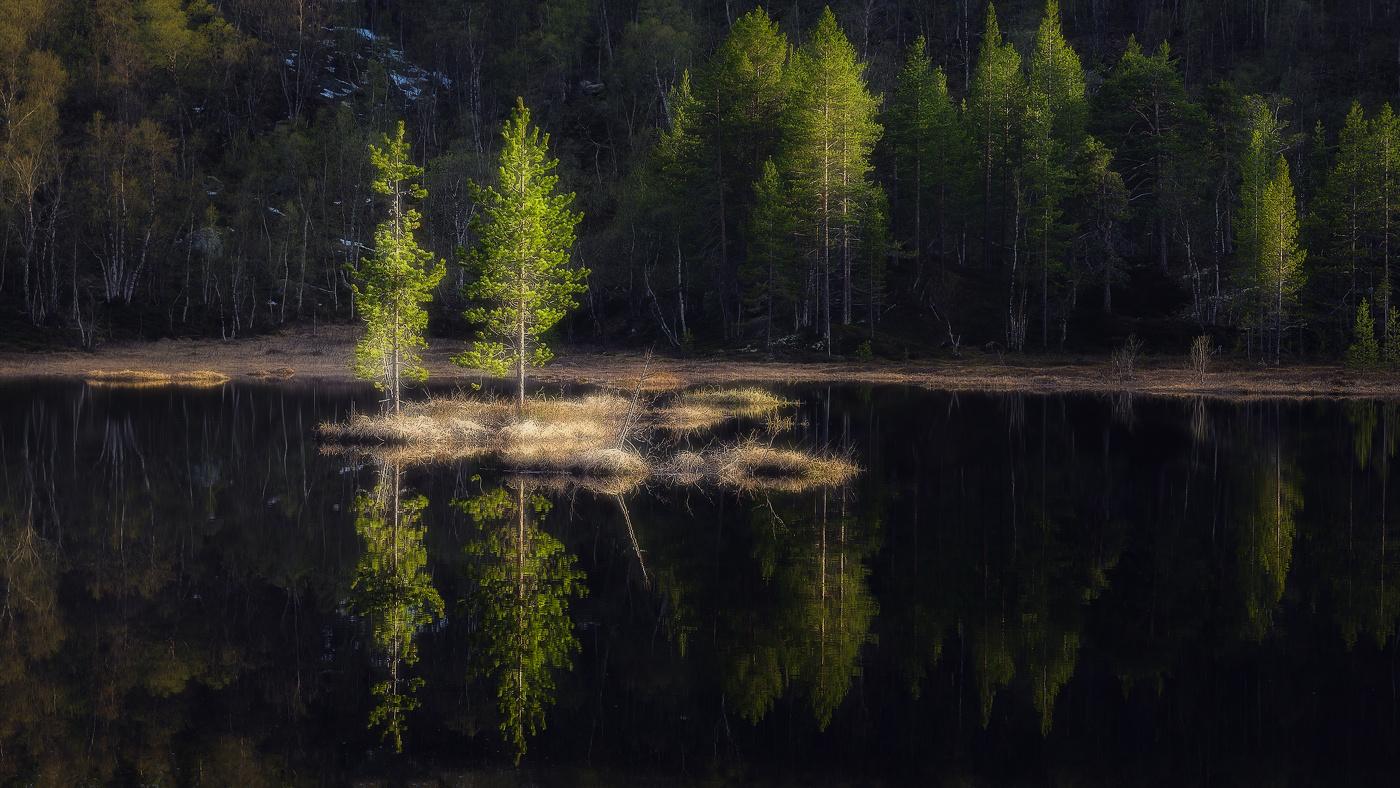 Черное зеркало