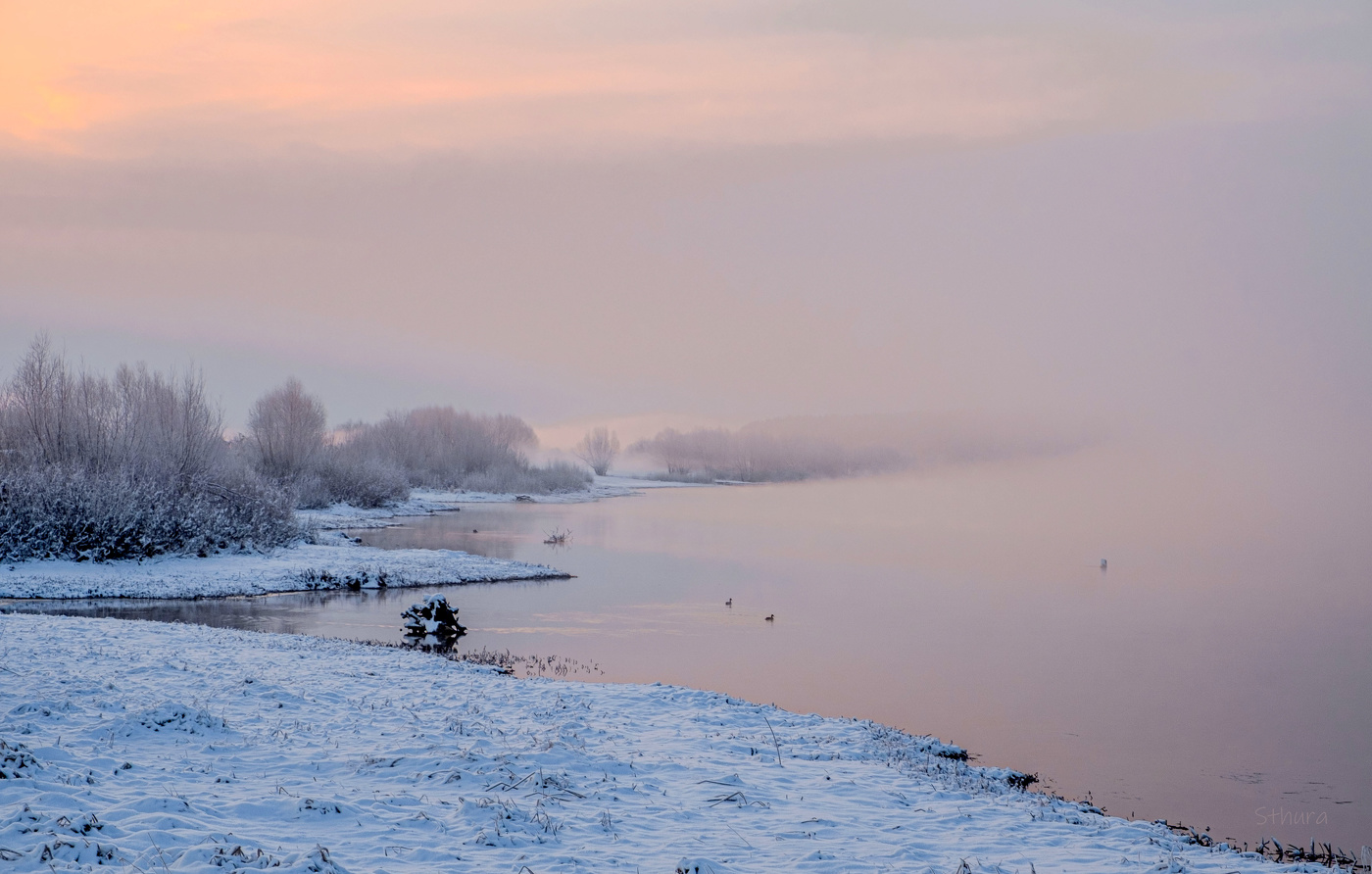 Утренний берег Оки.