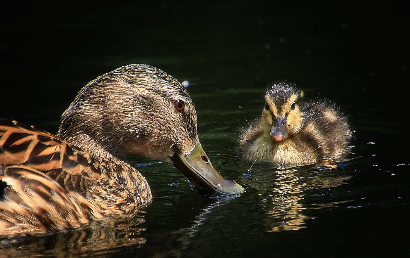 Мать и дитя