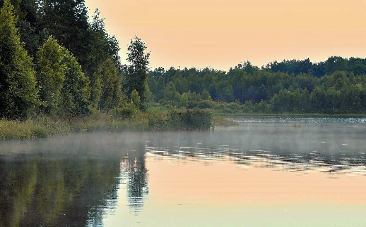 К вечеру туман на озере появился