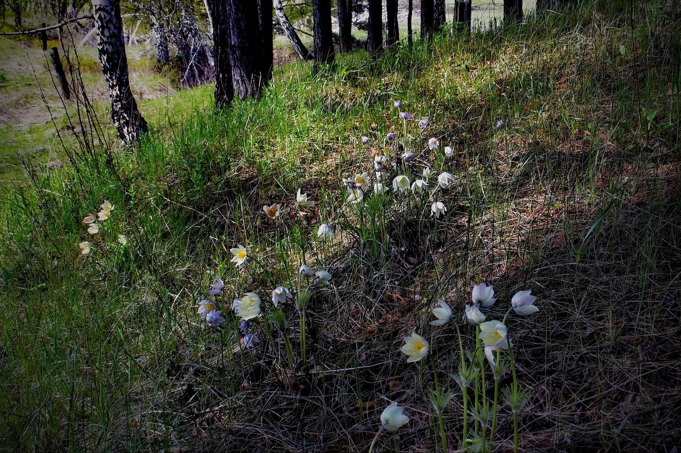 **На косогоре.*