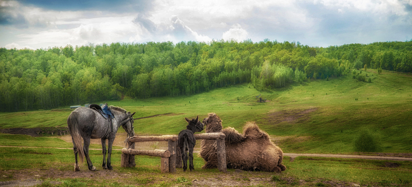 За околицей села Старые Туймазы