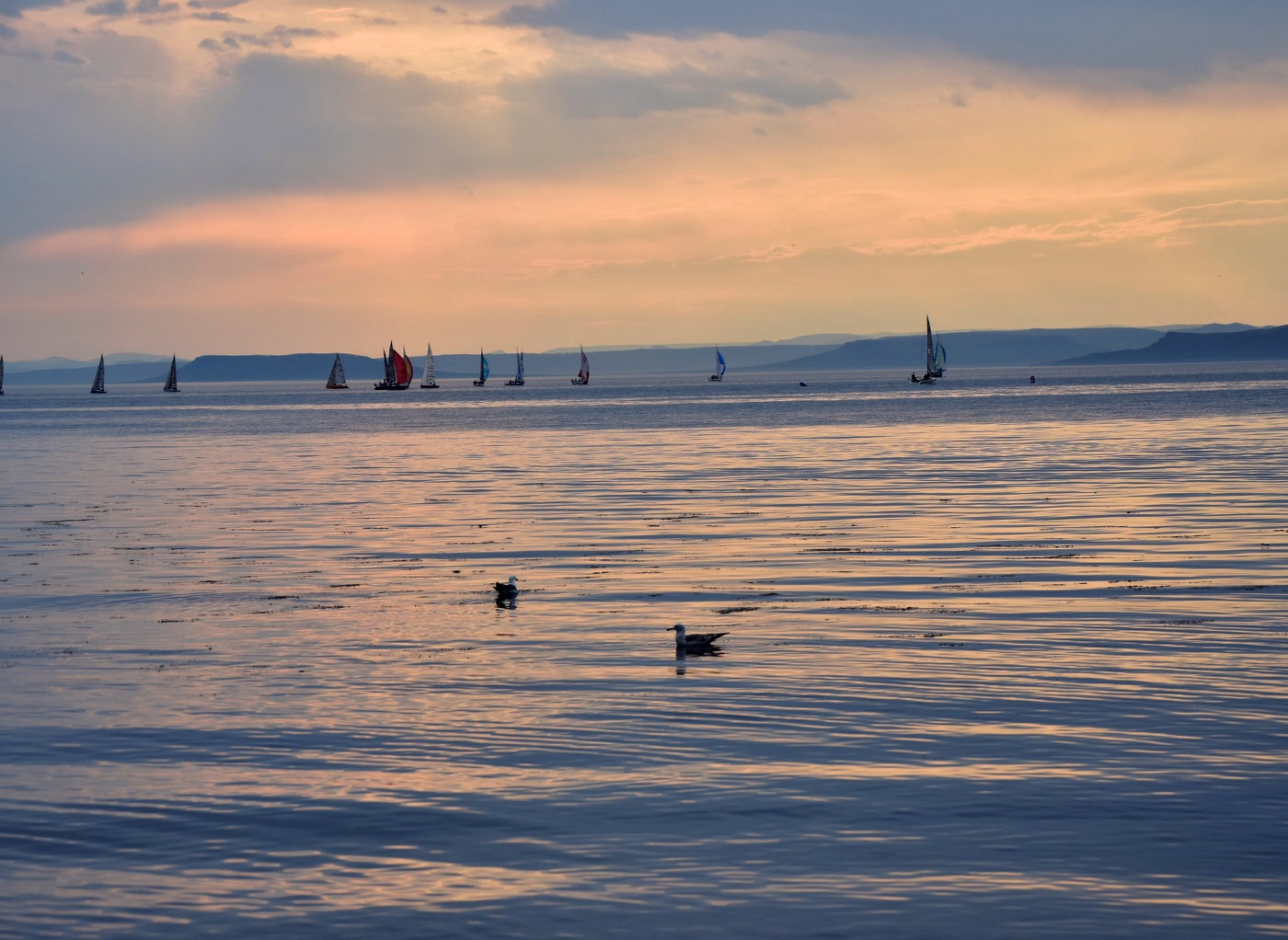 Паруса в лучах заката....