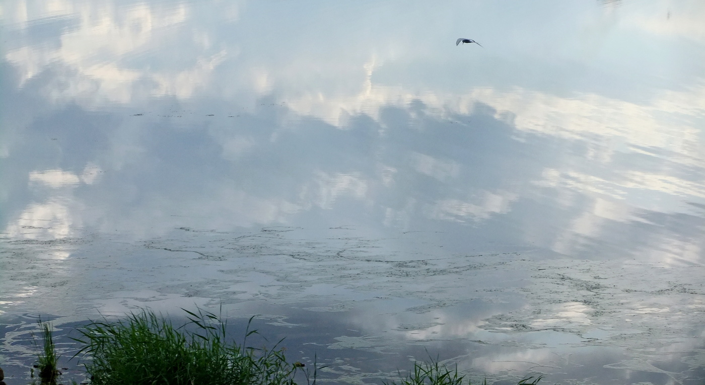 В поиске горизонта