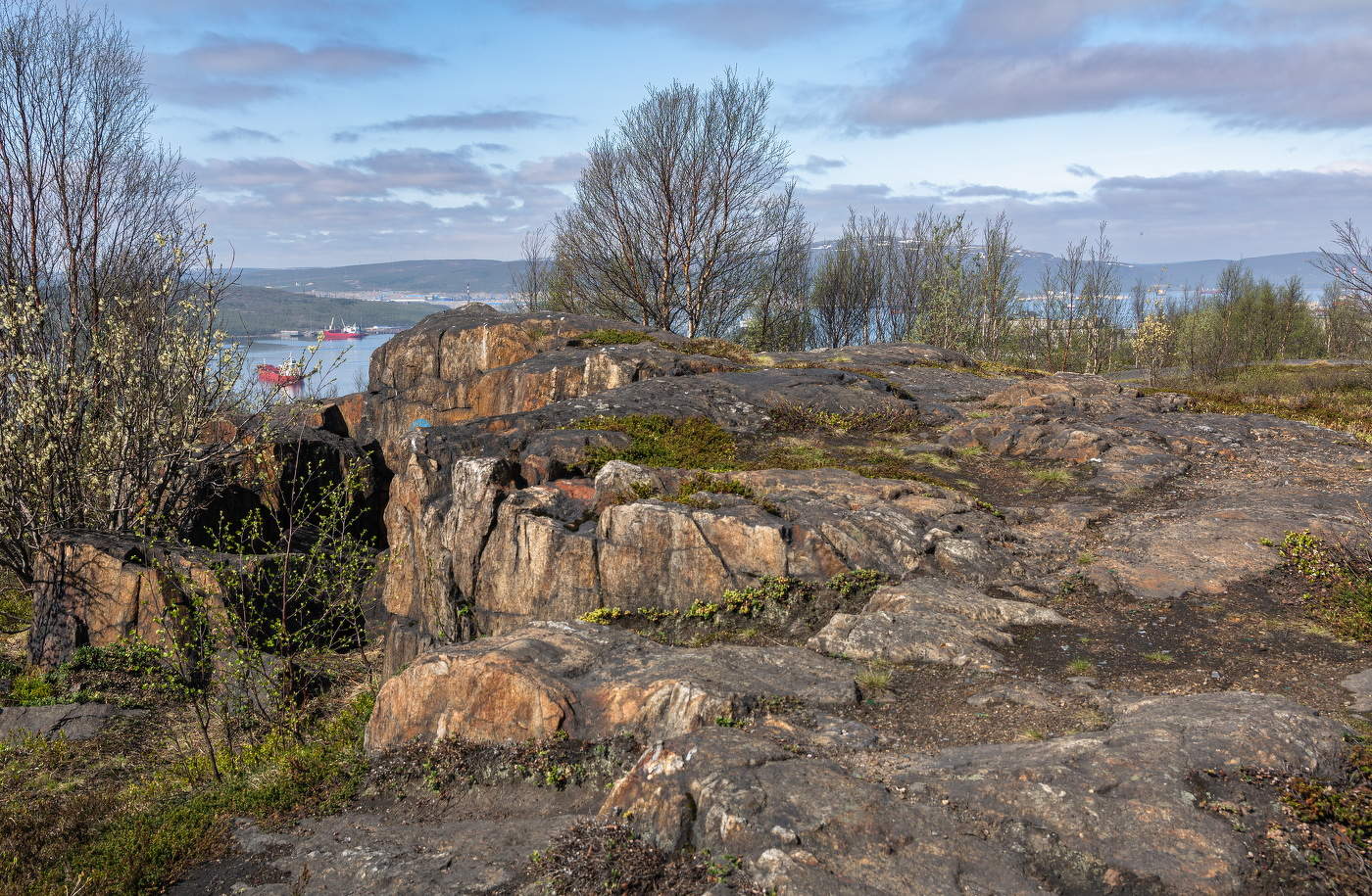 зазеленевшие сопки