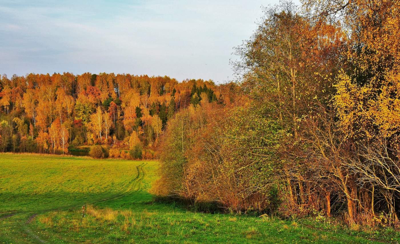 "Пустеет воздух, птиц не слышно боле ..."