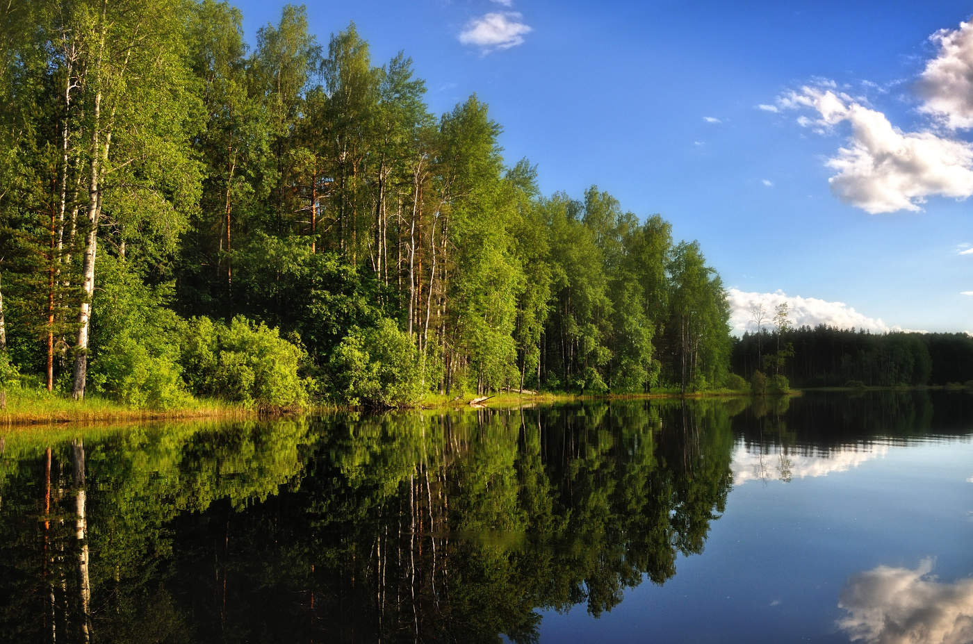 Летний день.