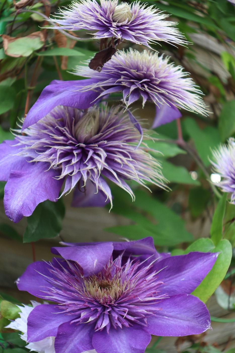 Круговорот