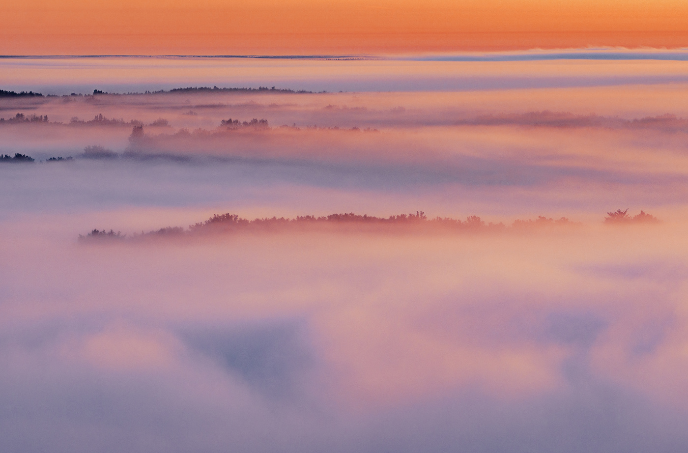 Туманный этюд