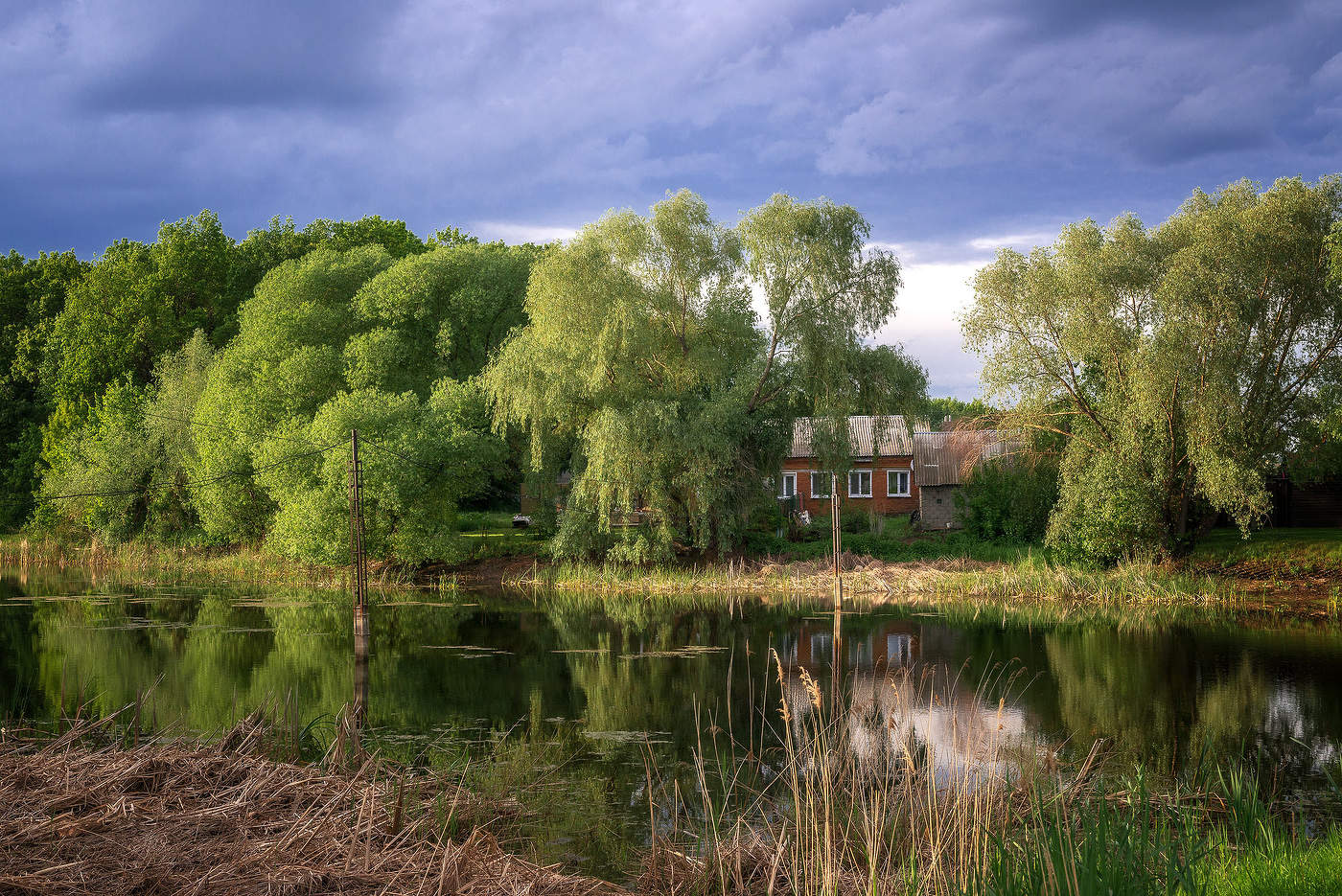 Старый пруд...