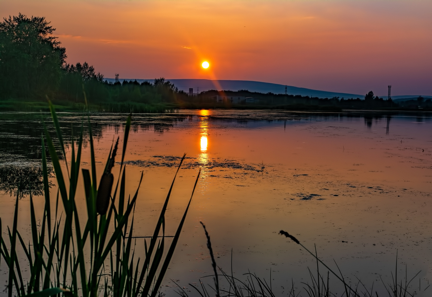 Вечернее солнце