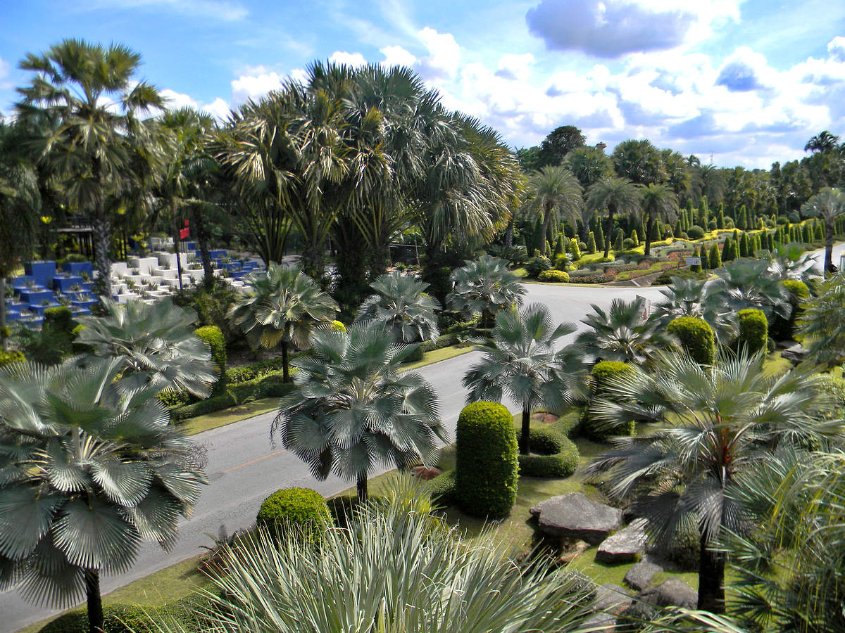 Пальмовый парк