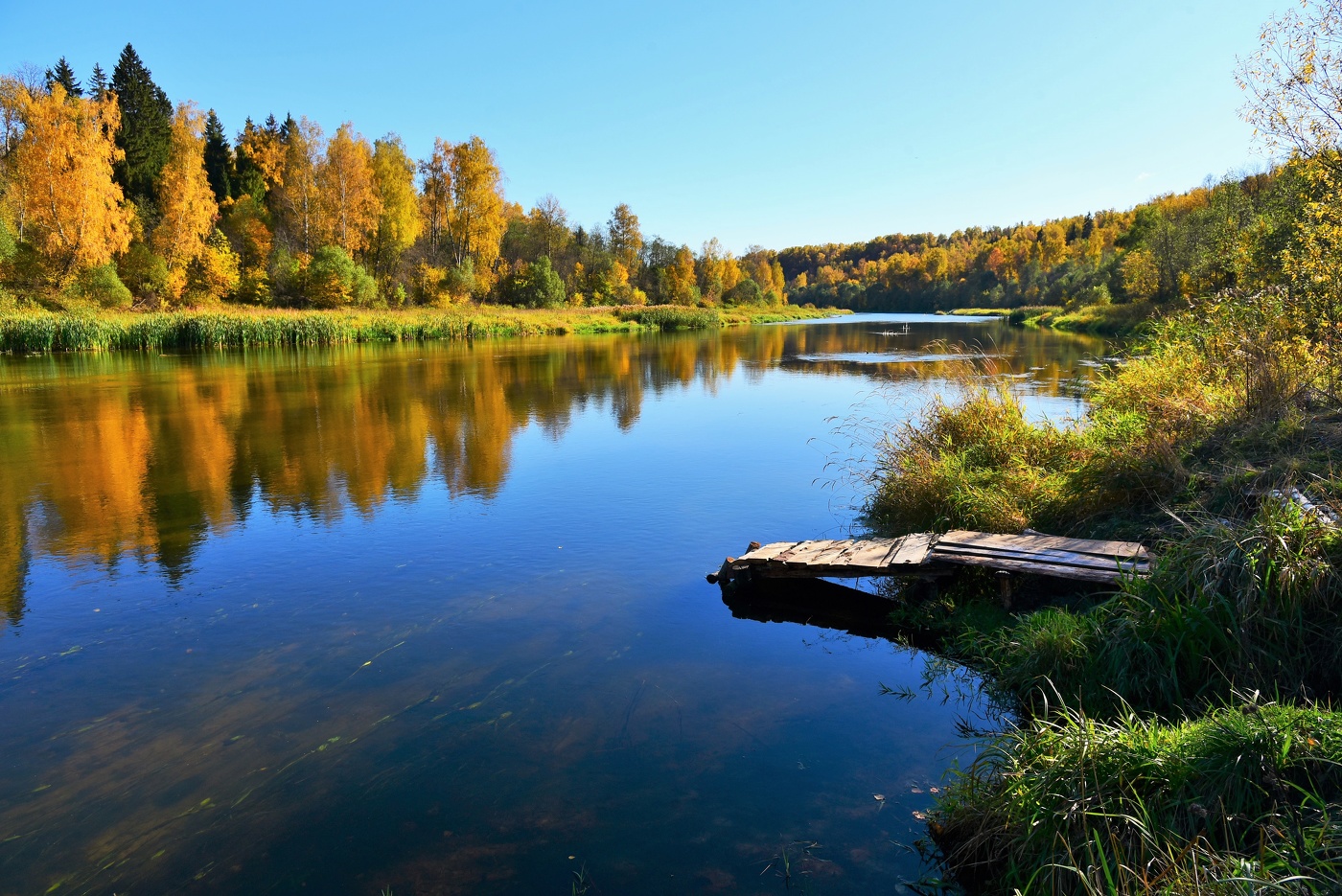Безмятежность ...