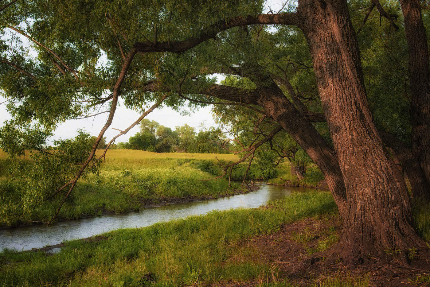 Маленькая речка Бишиндинка