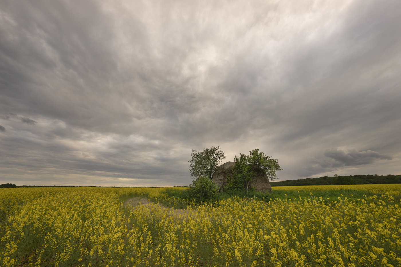Петровицкий валун.