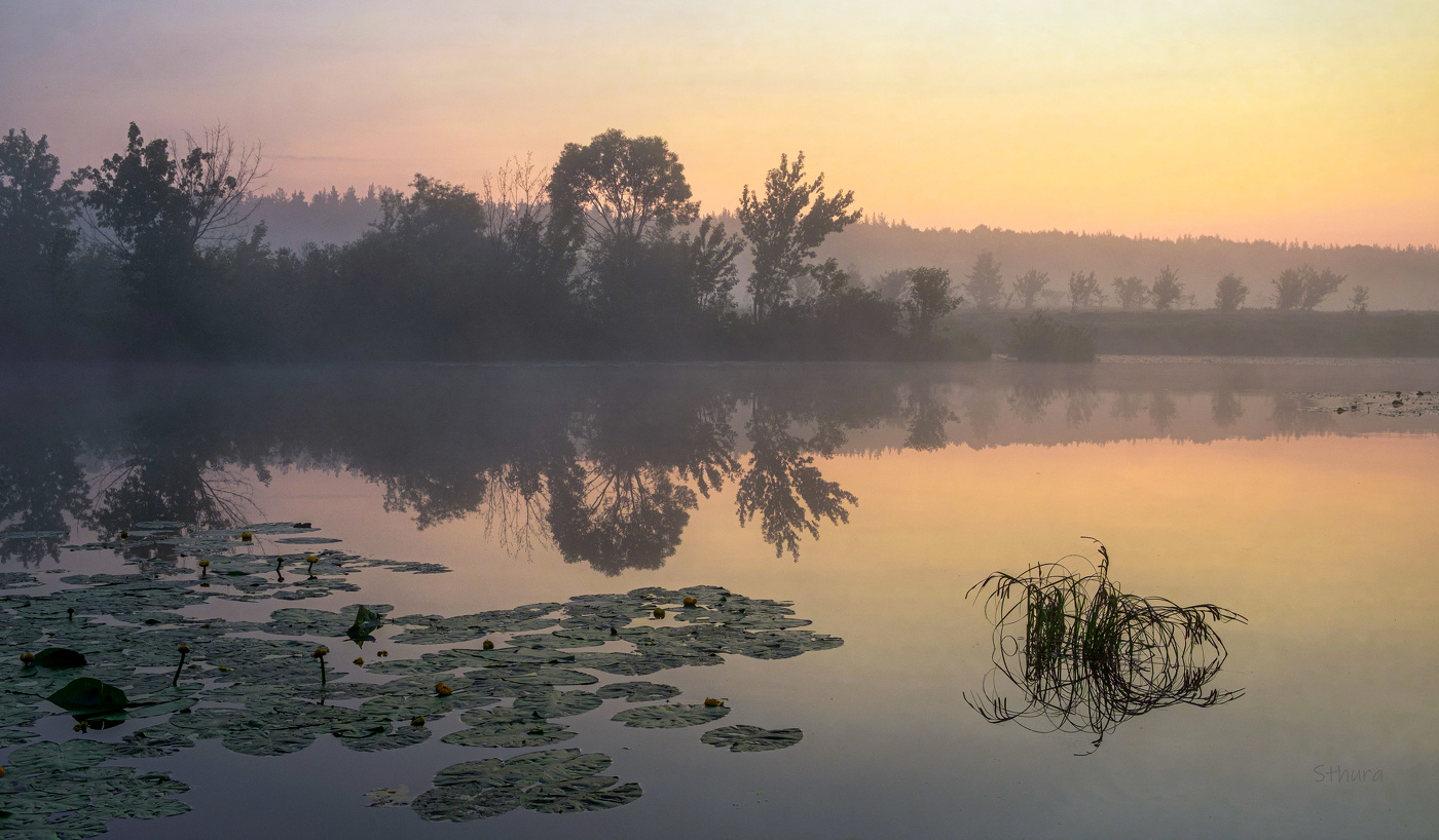 Тихо перед восходом.