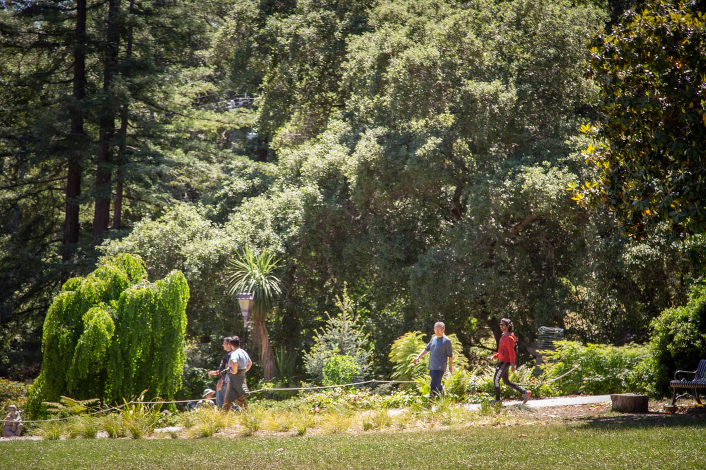 Солнечный день