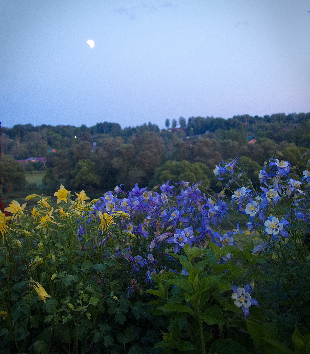 Танцы под луной