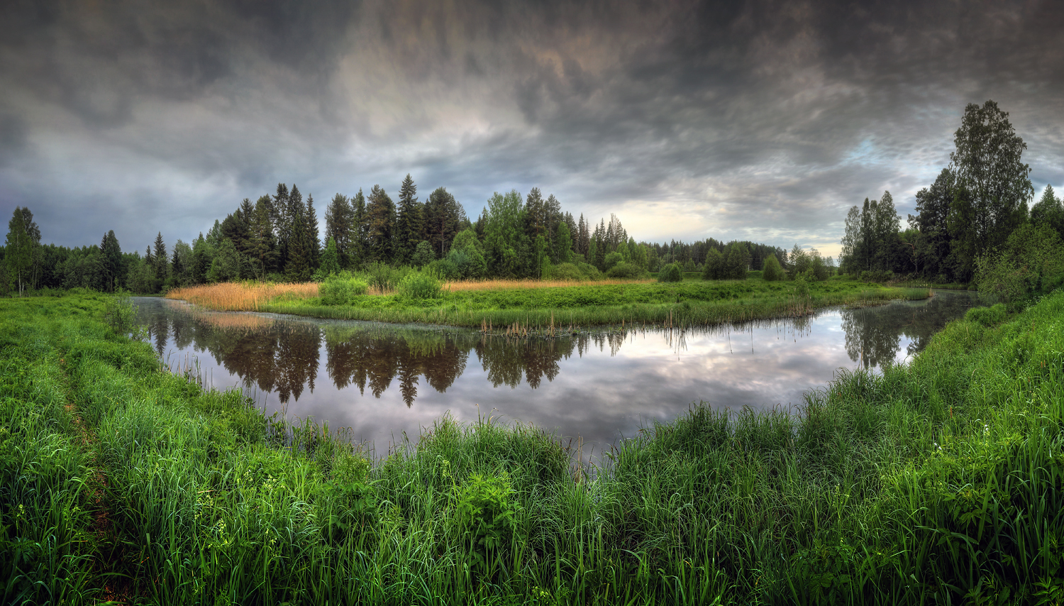 Тихий омут..