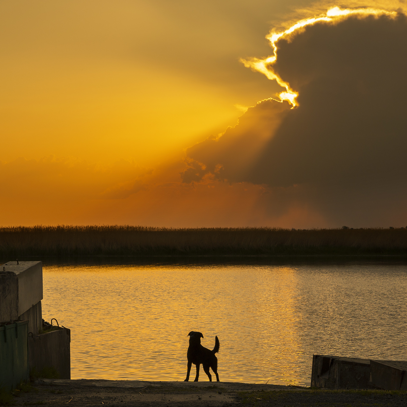 Глядя на луч вечернего заката...