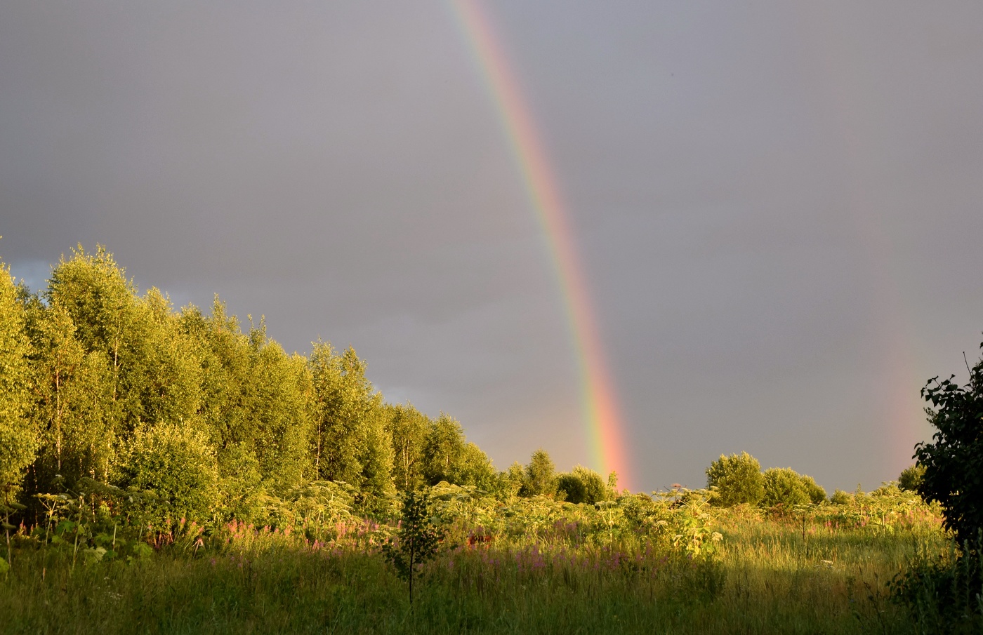 После дождя