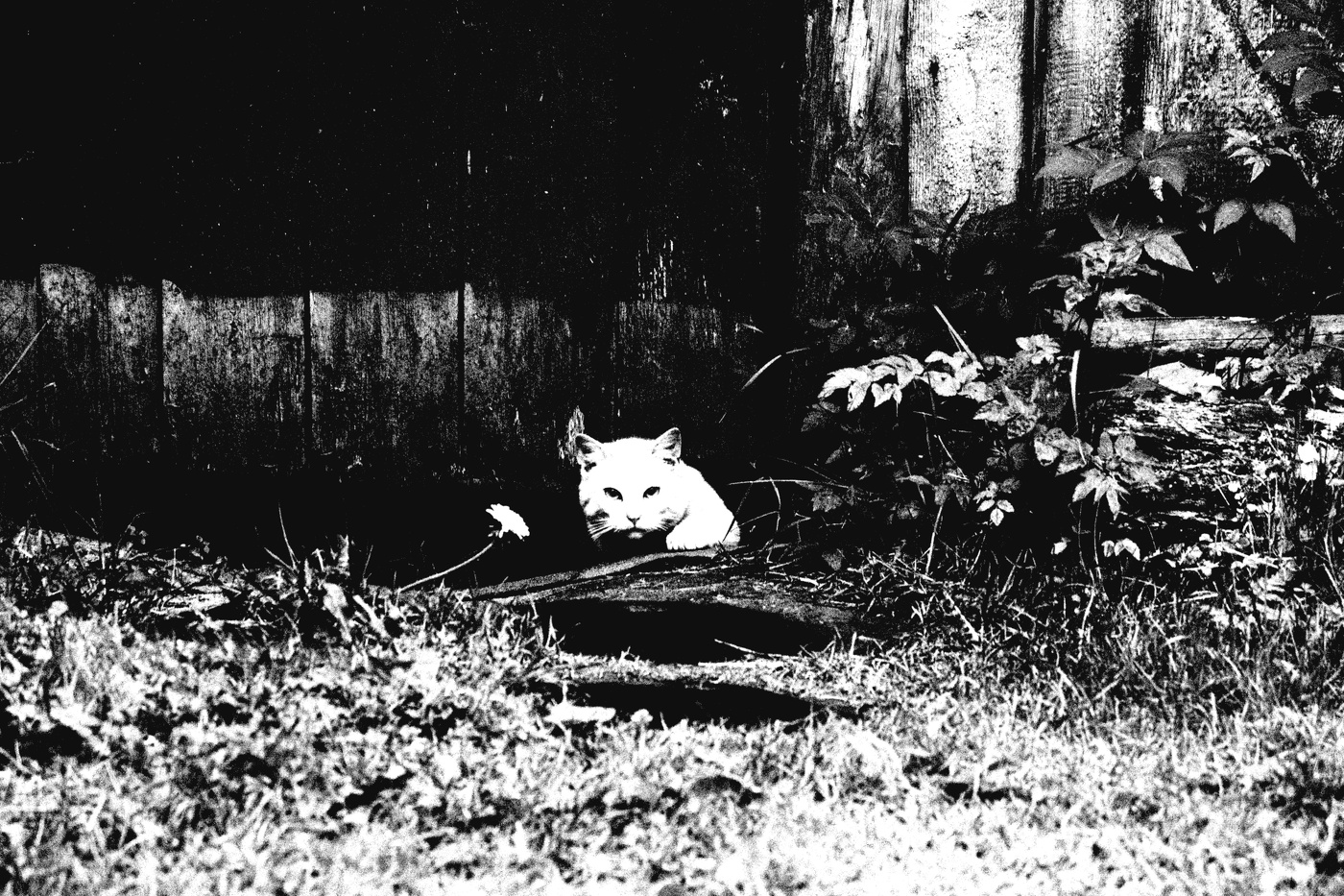 Жизнь вокруг