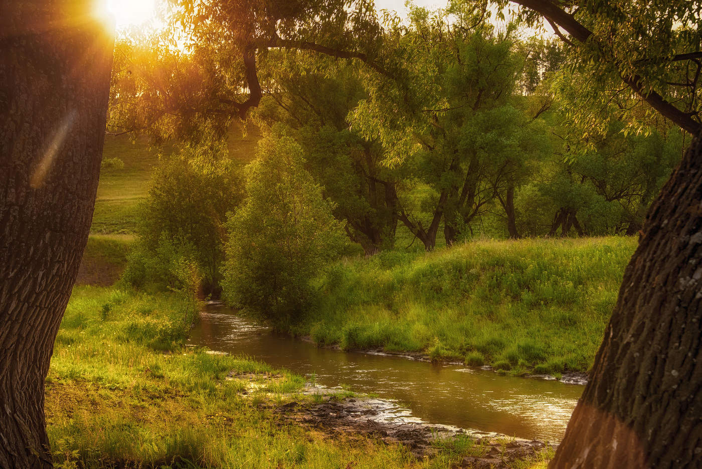 Вечерний свет