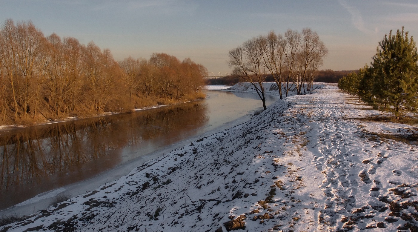 Февральская оттепель