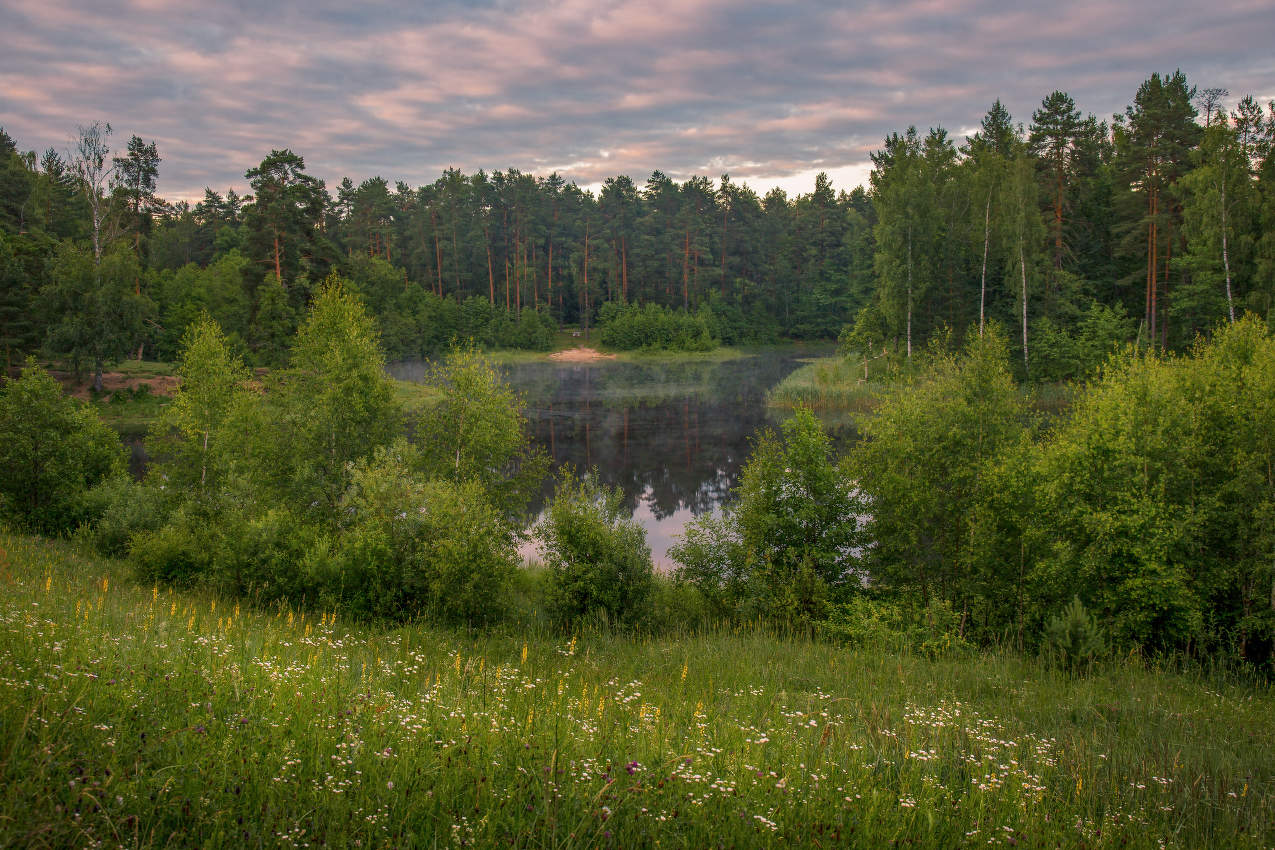 Июньское утро. Саврасово