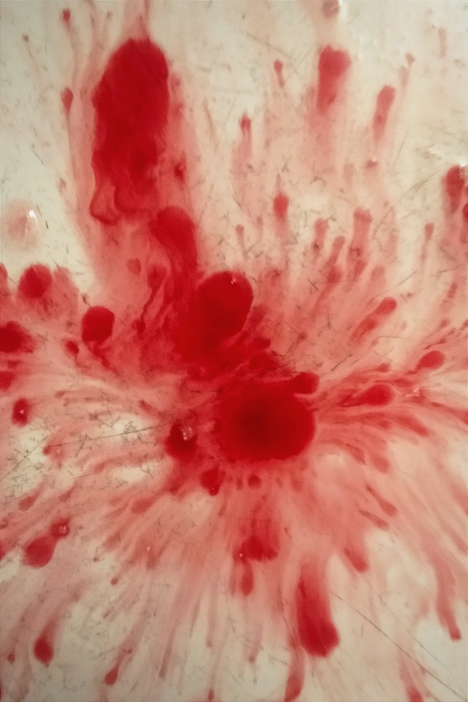 Жизнь вокруг