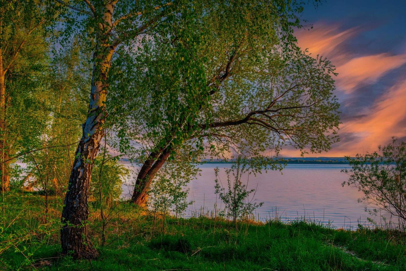 Берёзонька провожает день.