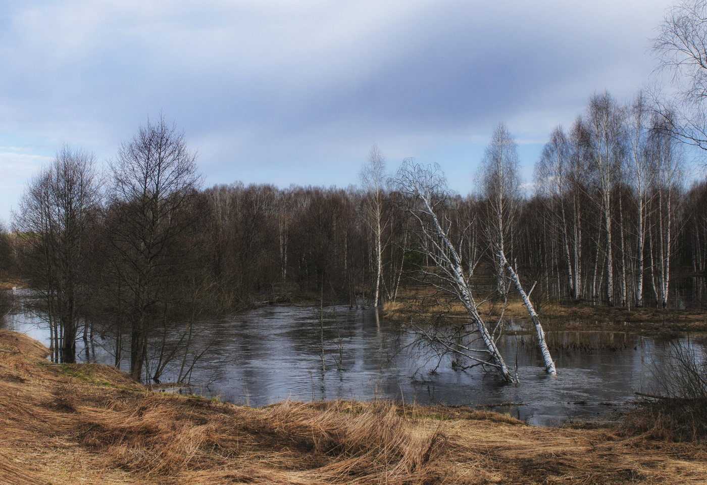 Кеза в апреле...