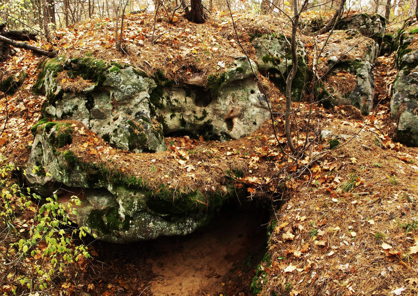 Спящий дракон