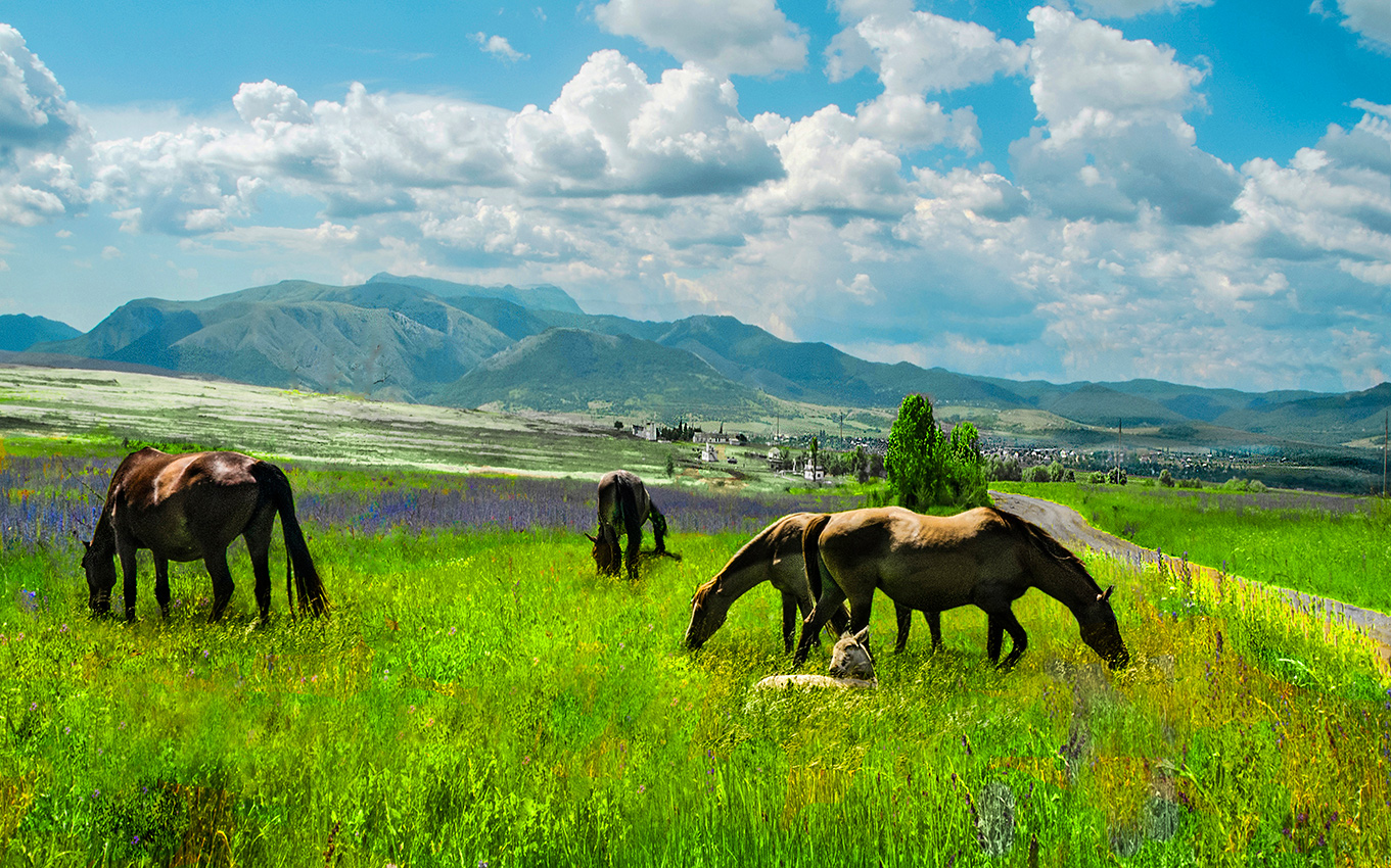 Просёлочная дорога