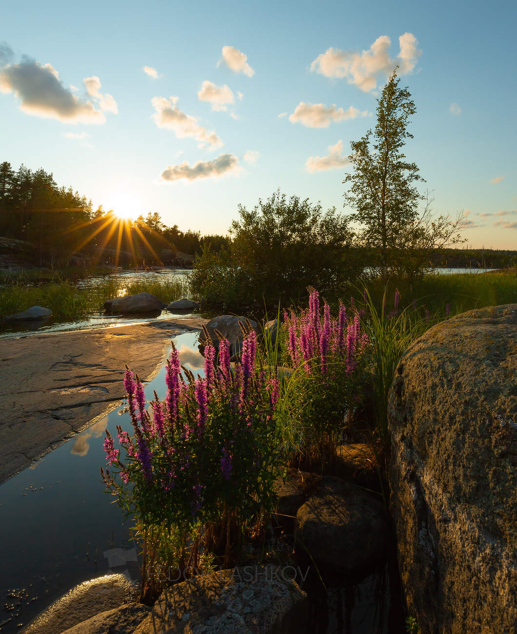 Лето на Ладоге