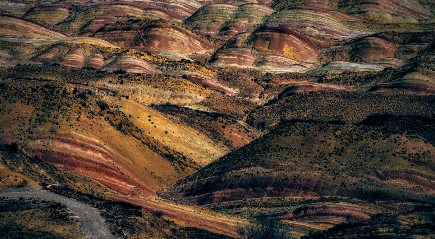 Палитра пустыни