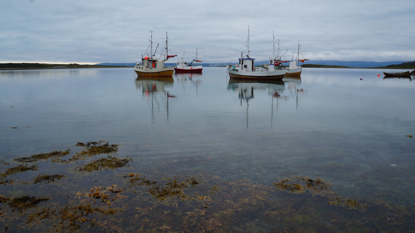 На безрыбье