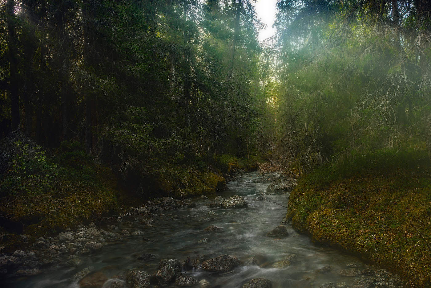 Таёжный ручей