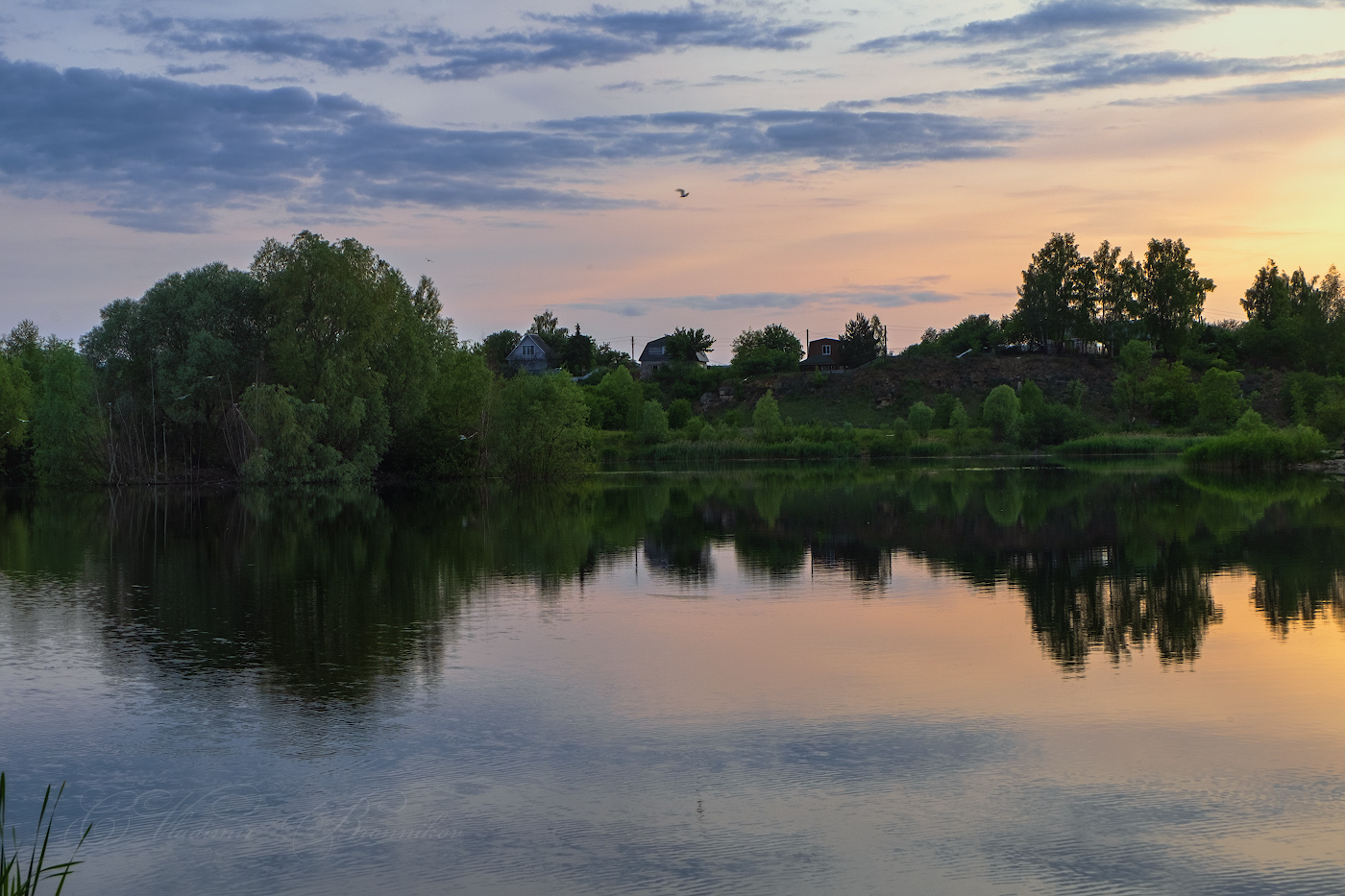 У старого озера