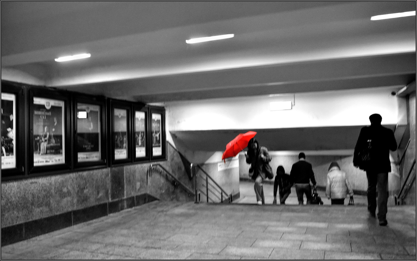 ...... Дождь .....