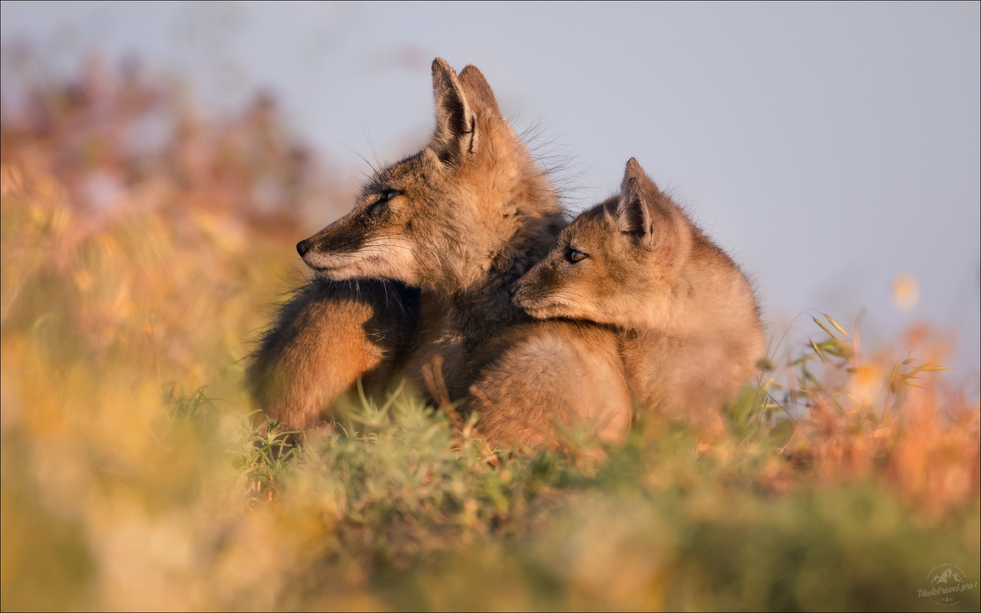 Слушая степь ..