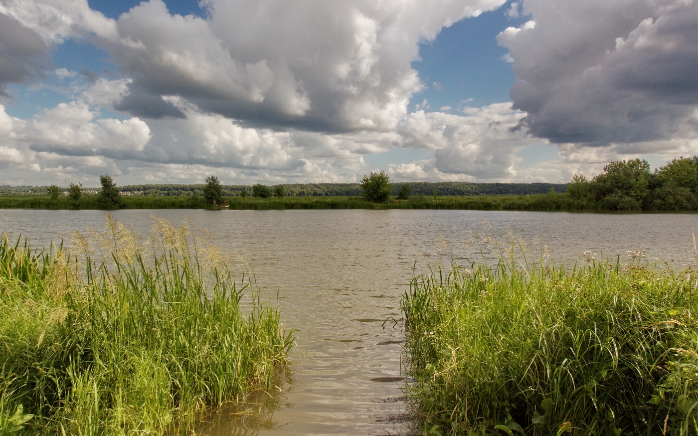 Июльское безклёвье