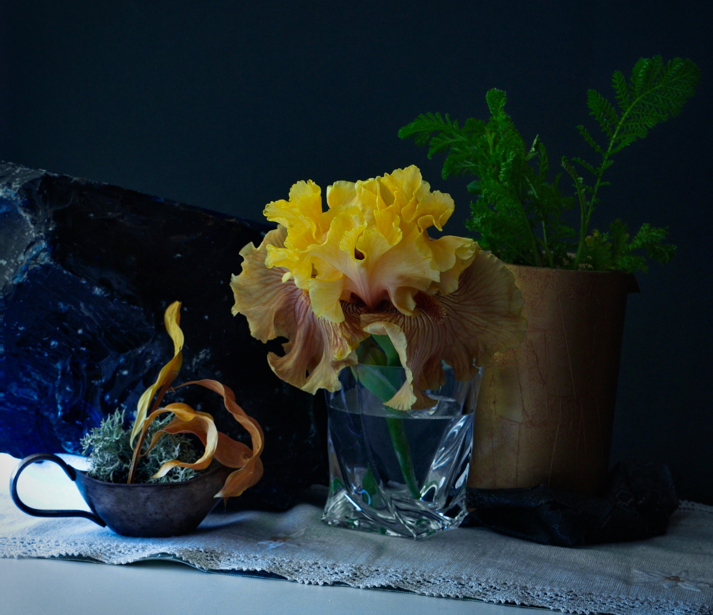 Элегантность ириса