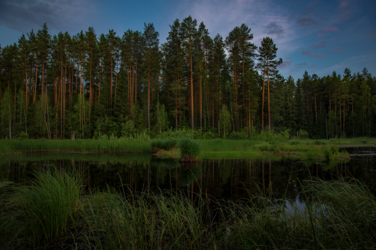 Смерколось