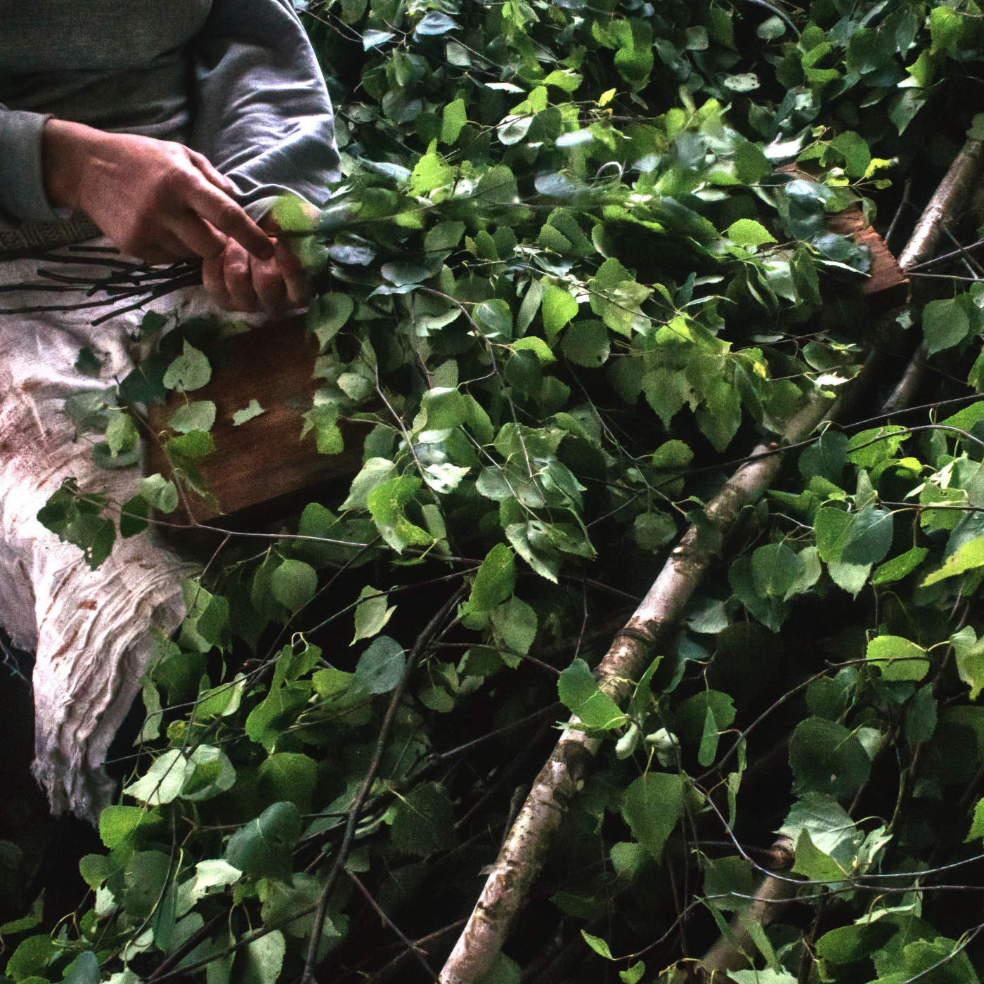 Жизнь вокруг