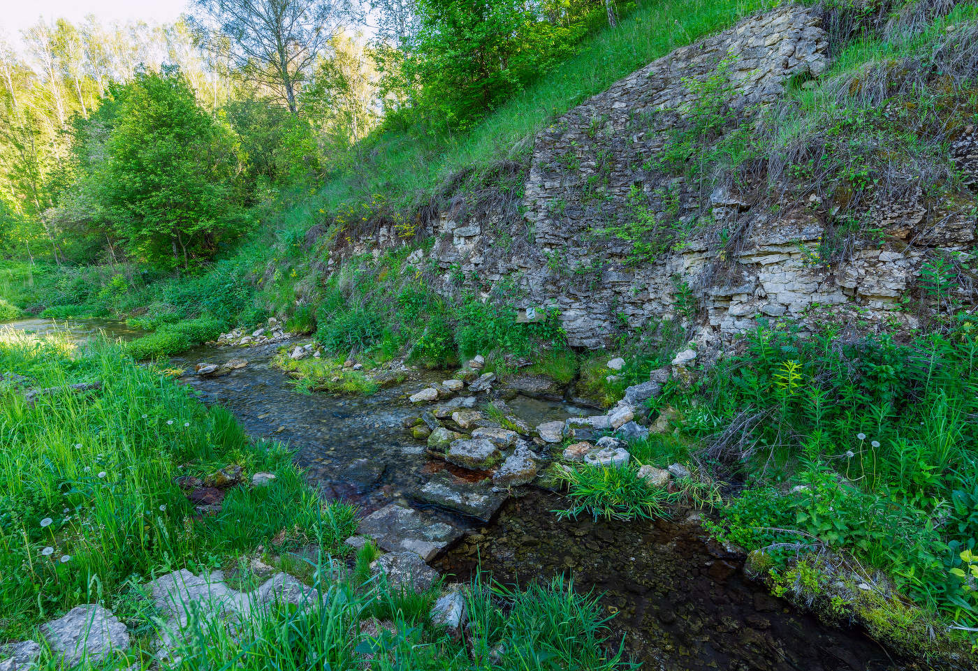 на святом источнике