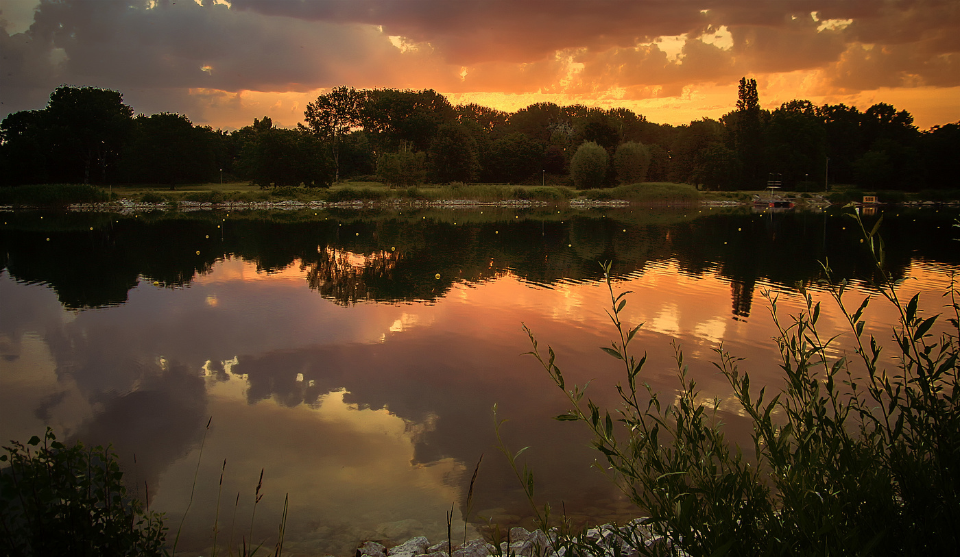 Утро на гребном канале
